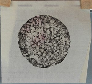 Image description is not available for FIM2015.109